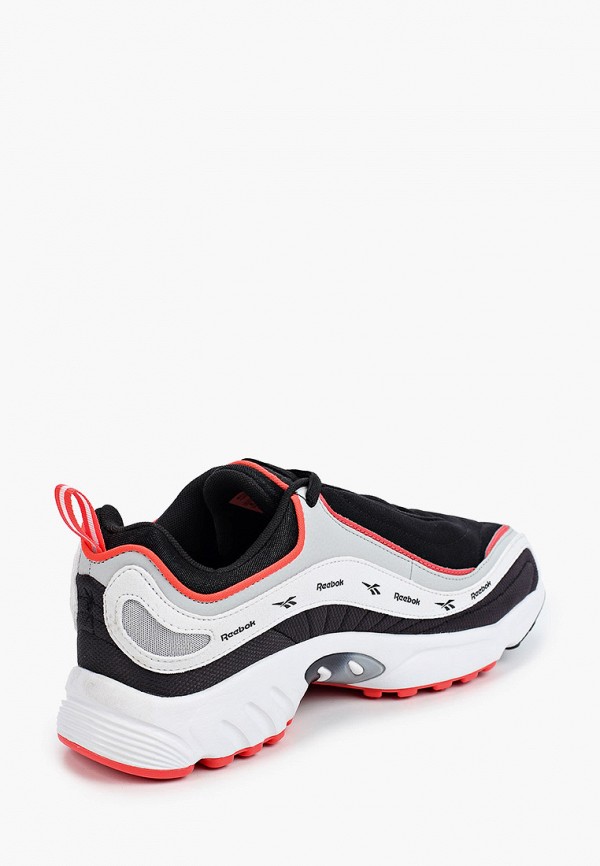 Daytona outlet dmx vector