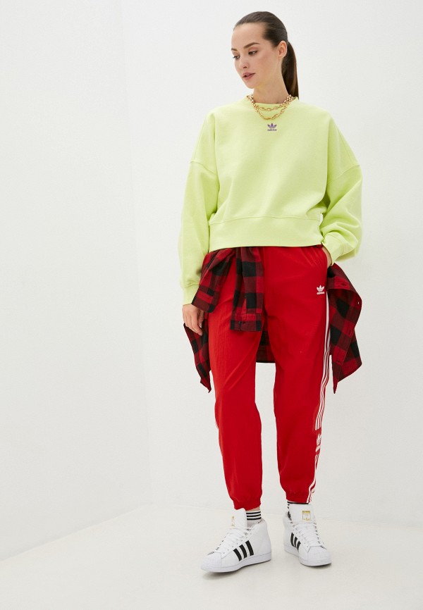 Свитшот adidas Originals SWEATSHIRT, цвет: зеленый, RTLAAR827901 ...