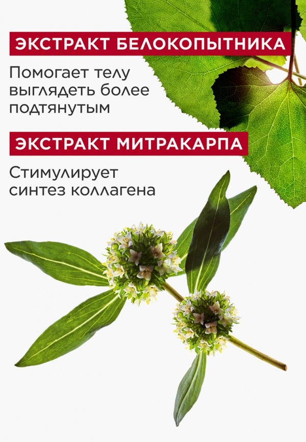 Clarins Крем для тела - укрепляющий и моделирующий - фото 6
