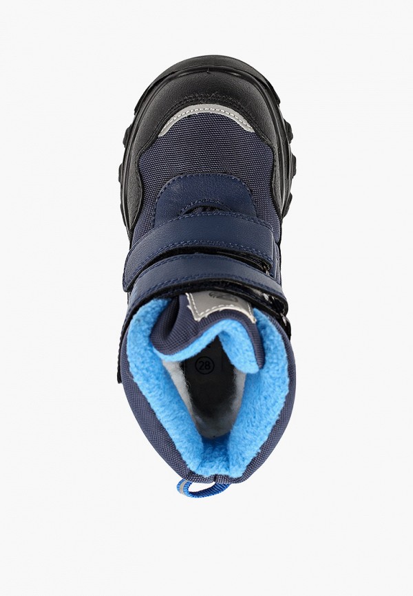 Zebra Ботинки - фото 4