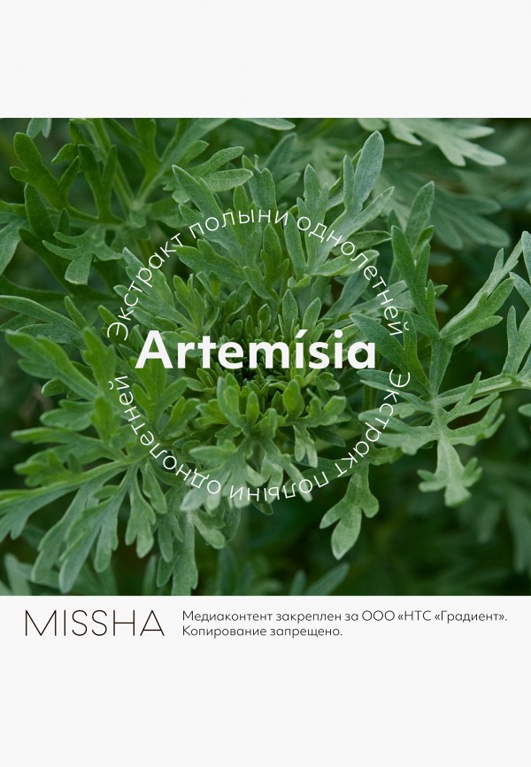 Missha Мист для лица - успокаивающий, для чувствительной кожи - фото 3