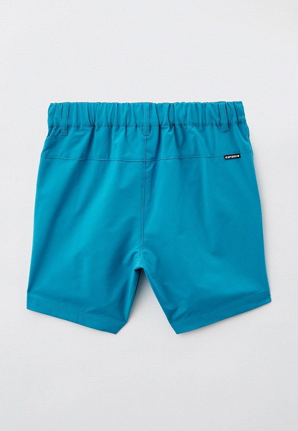 Icepeak Шорты спортивные - SHORTS/BERMUDA - фото 2