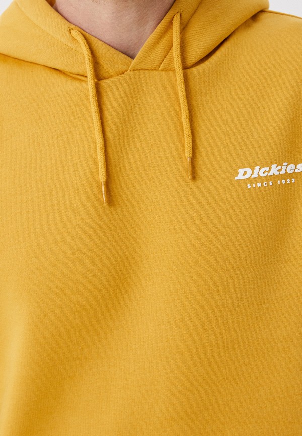 Худи Dickies CAMDEN BOX, цвет: желтый, RTLACQ254001 — купить в интернет ...