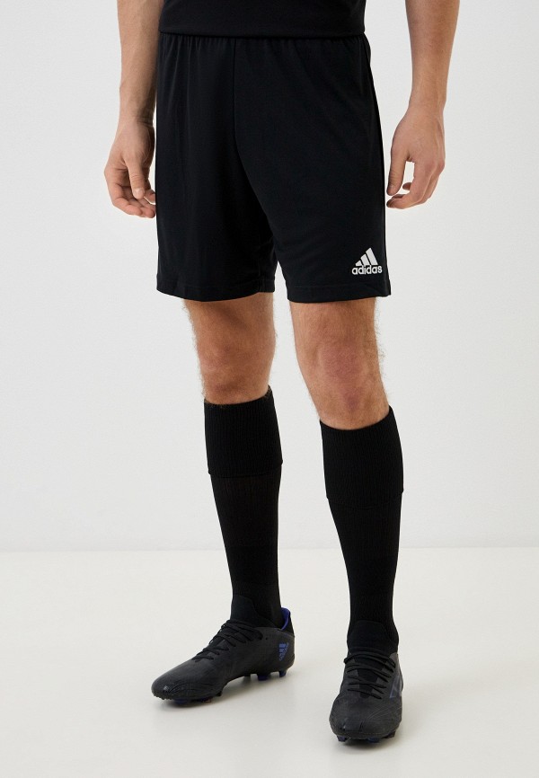 adidas Шорты спортивные - ENT22 SHO - фото 1