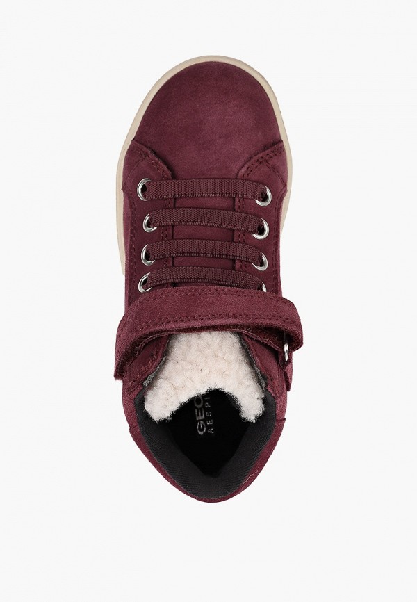 Geox Кеды - фото 4