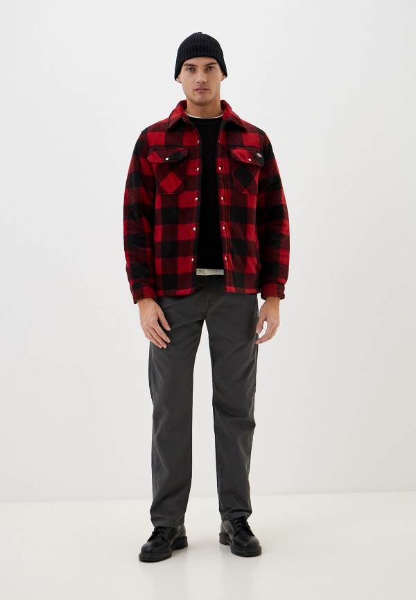 Dickies Брюки - DUCK CARPENTER - фото 2