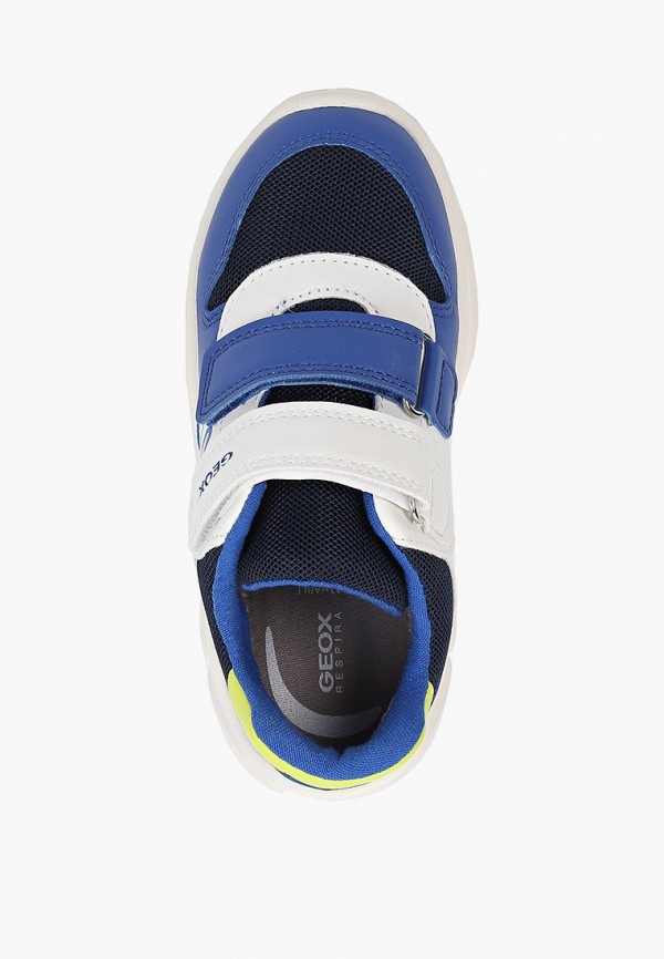 Adidas sales geox respira
