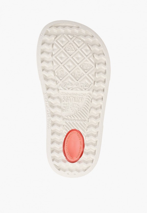 Boatilus Сланцы - фото 5