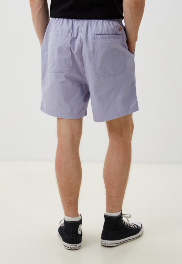 Dickies Шорты спортивные - PELICAN RAPIDS - фото 3