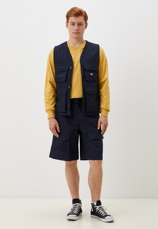 Жилет Dickies FISHERSVILLE, цвет: синий, RTLADQ745501 — купить в ...