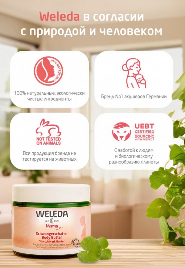 Weleda Крем-баттер для тела - для профилактики растяжек, с 34-й недели беременности - фото 5