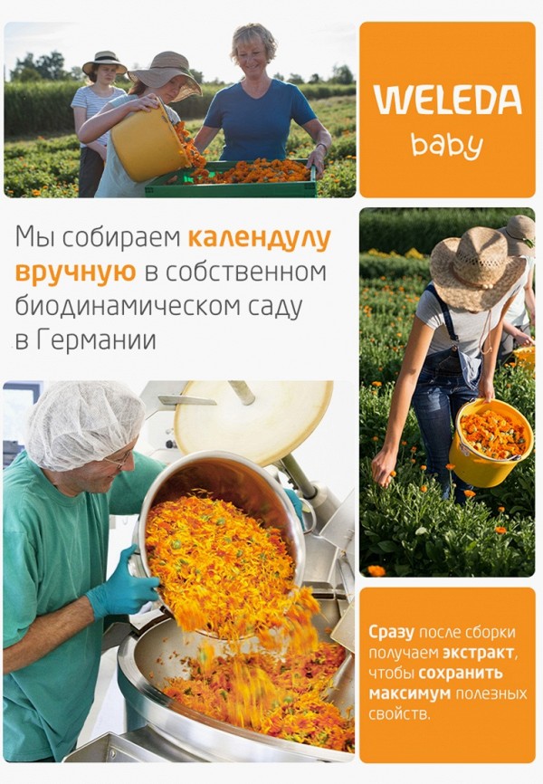 Weleda Масло для тела - с календулой для младенцев, с нежным ароматом - фото 4