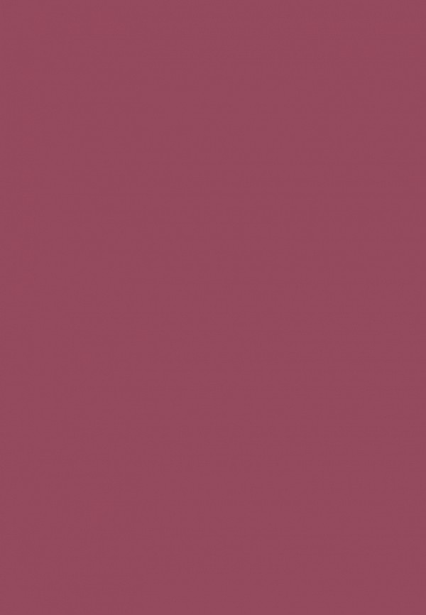 Arive Makeup Бальзам оттеночный для губ - фото 4