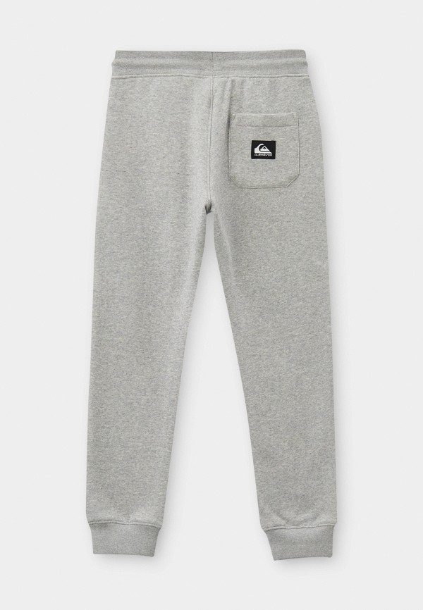 Quiksilver Брюки спортивные - AGEOFBLUESLIM - фото 2