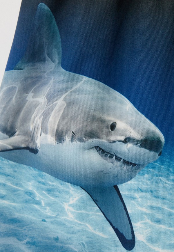 Molo Шорты для плавания - Niko - фото 3