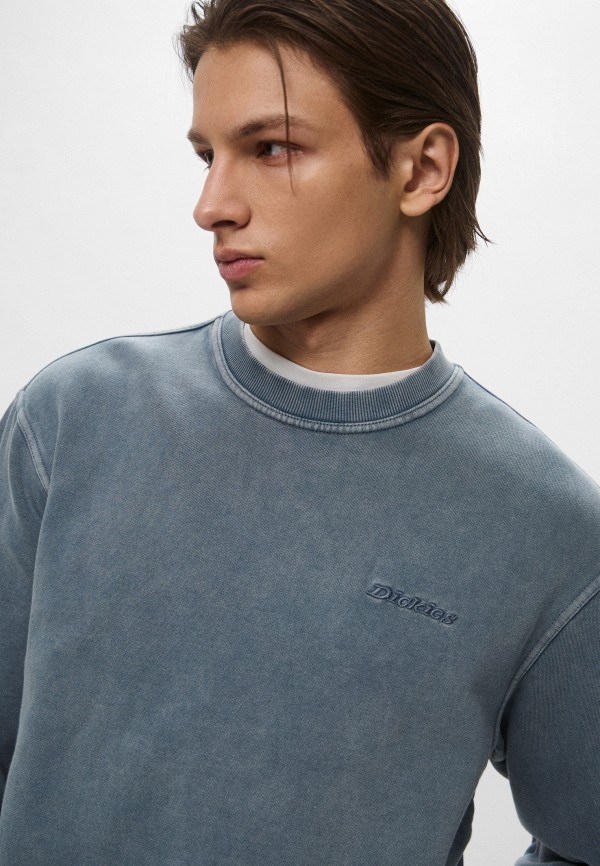 Dickies Свитшот - PLENTYWOOD - фото 4