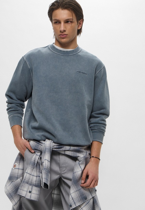Dickies Свитшот - PLENTYWOOD - фото 6
