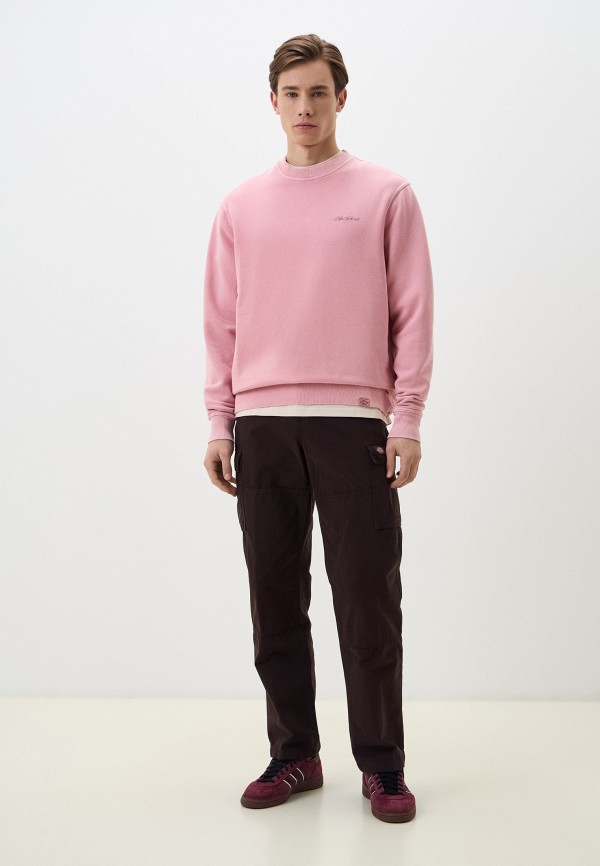 Dickies Свитшот - PLENTYWOOD - фото 2