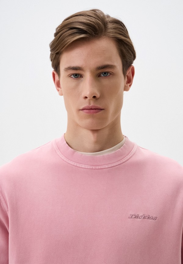 Dickies Свитшот - PLENTYWOOD - фото 5