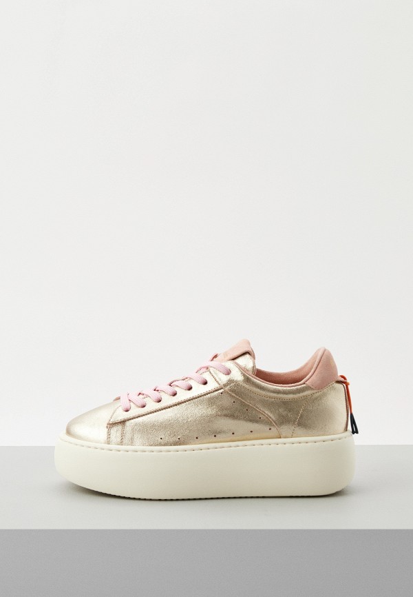 Barracuda Кеды - фото 1