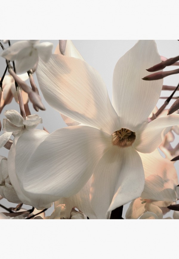 Paco Rabanne Парфюмерная вода - фото 4