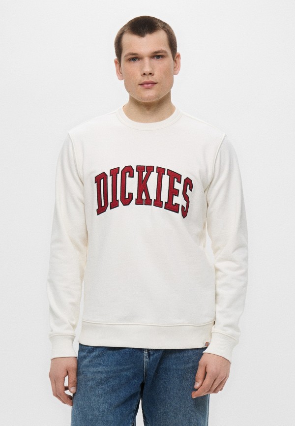 Dickies Свитшот - AITKIN SWEATSHIRT - фото 1