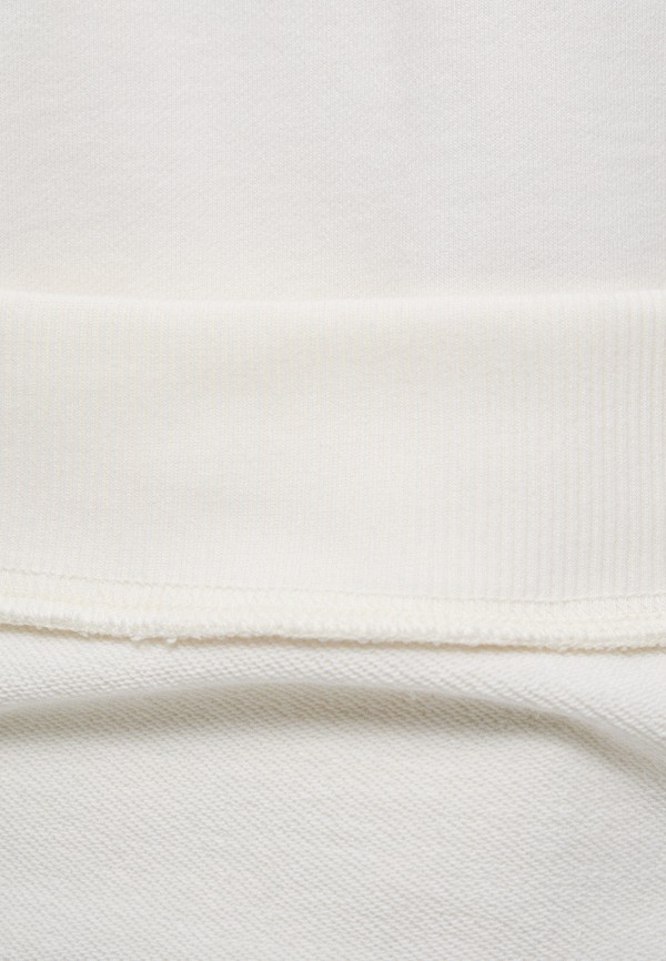 Dickies Свитшот - AITKIN SWEATSHIRT - фото 4