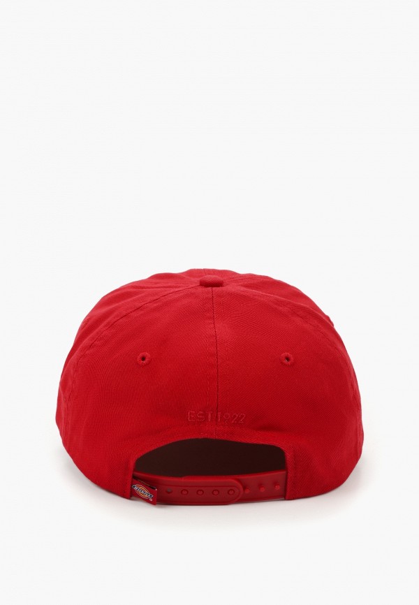 Dickies Бейсболка - HARDWICK - фото 2