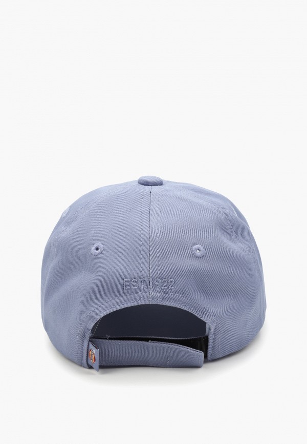 Dickies Бейсболка - HARDWICK - фото 2