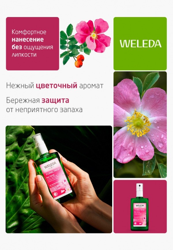 Weleda Дезодорант-спрей - розовый - фото 2