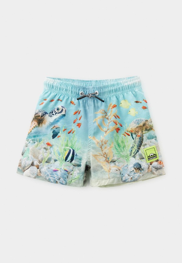 Molo Шорты для плавания - Niko - фото 1