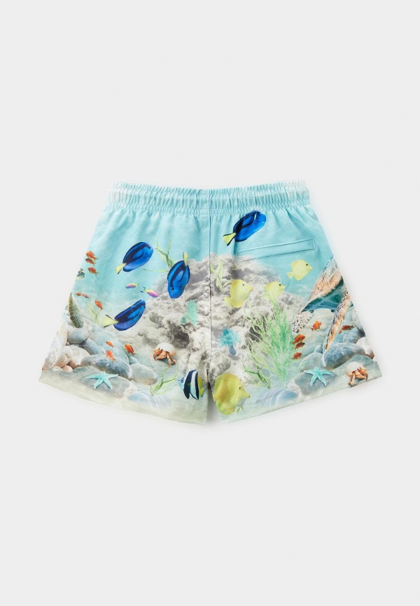 Molo Шорты для плавания - Niko - фото 2