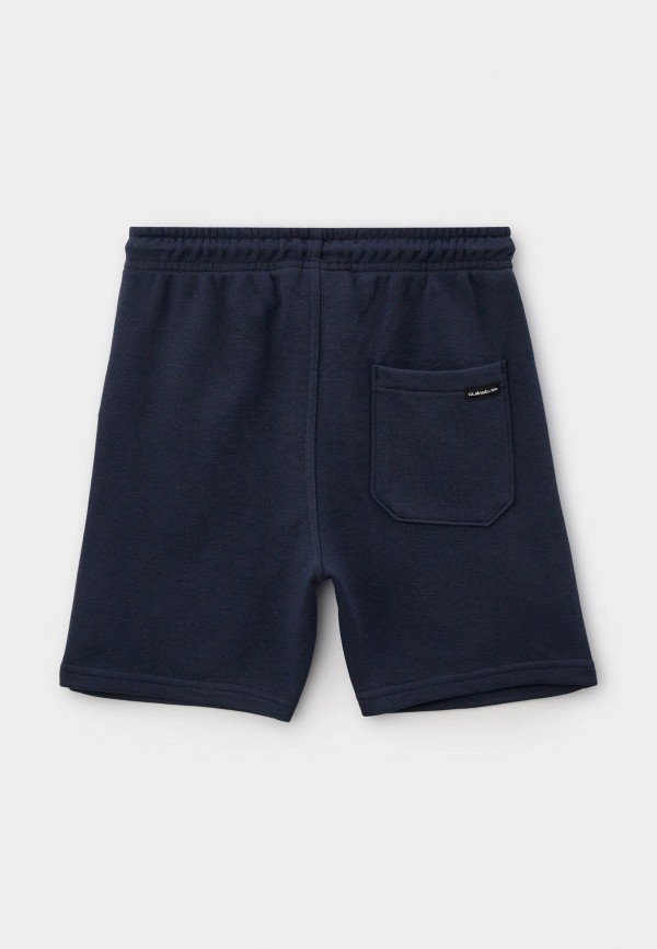 Quiksilver Шорты спортивные - EASY DAY JOGGER SHORT YOUTH - фото 2