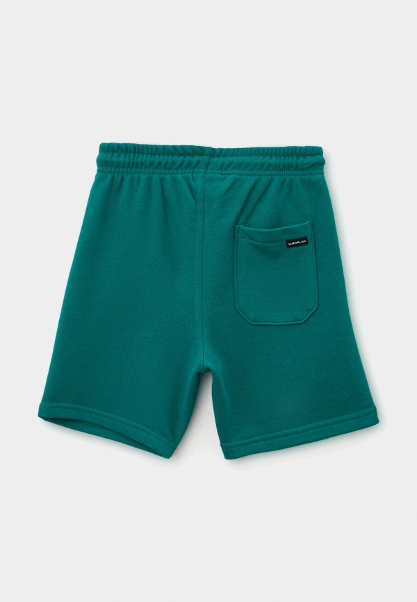Quiksilver Шорты спортивные - фото 2