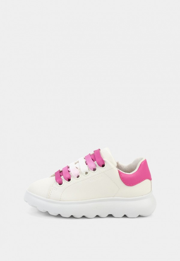 Geox Кроссовки - Lamoda Online Exclusive - фото 1