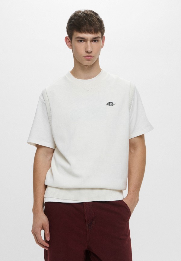 Dickies Жилет - SUMMERDALE - фото 1