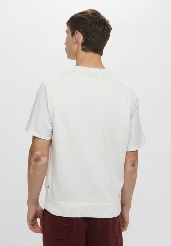 Dickies Жилет - SUMMERDALE - фото 3