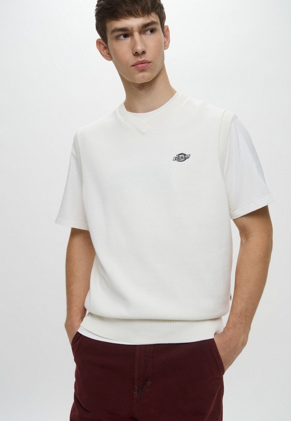 Dickies Жилет - SUMMERDALE - фото 4