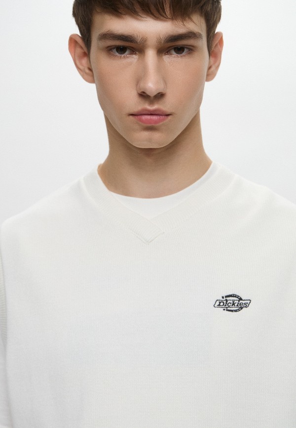 Dickies Жилет - SUMMERDALE - фото 5