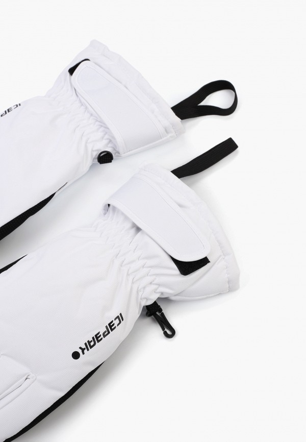 Icepeak Перчатки горнолыжные - ICEPEAK HAYDEN - фото 2