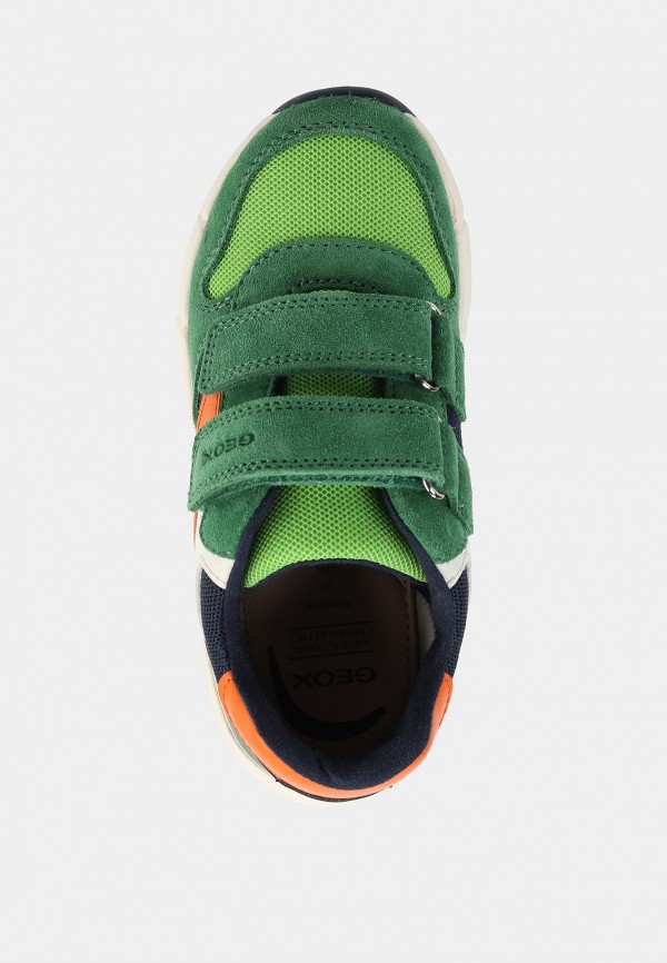 Geox Кроссовки - FLEXYPER, Lamoda Online Exclusive - фото 4