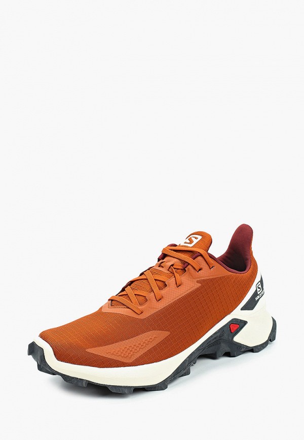 Salomon Кроссовки - ALPHACROSS BLAST - фото 2