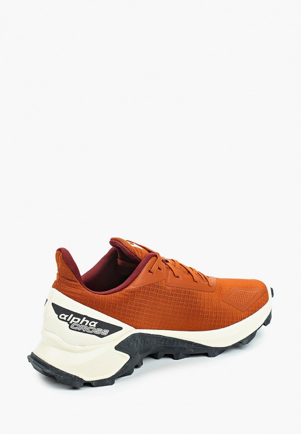 Salomon Кроссовки - ALPHACROSS BLAST - фото 3