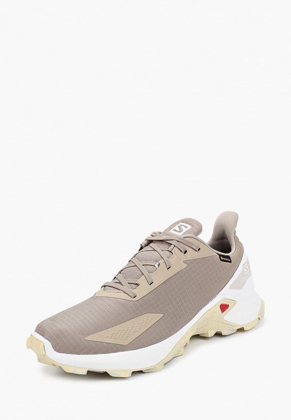 Salomon Кроссовки - ALPHACROSS BLAST GTX - фото 2