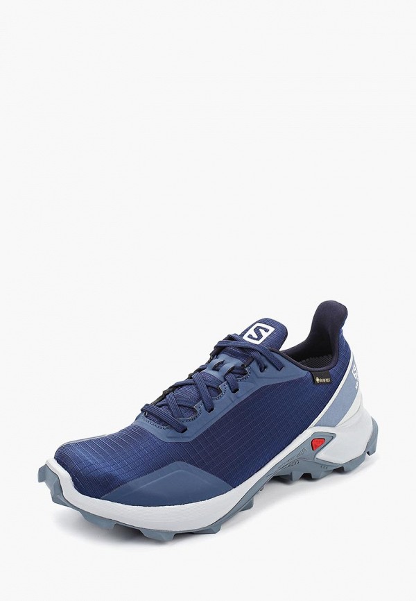 Salomon Кроссовки - ALPHACROSS GTX W - фото 2