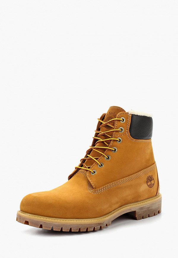 timberland 6in prem