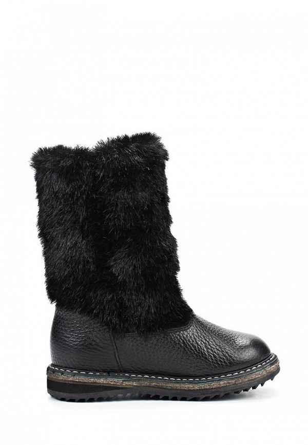 Зебра Унты - фото 5