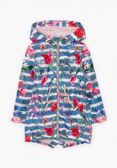 Картинки по запросу плащ акула