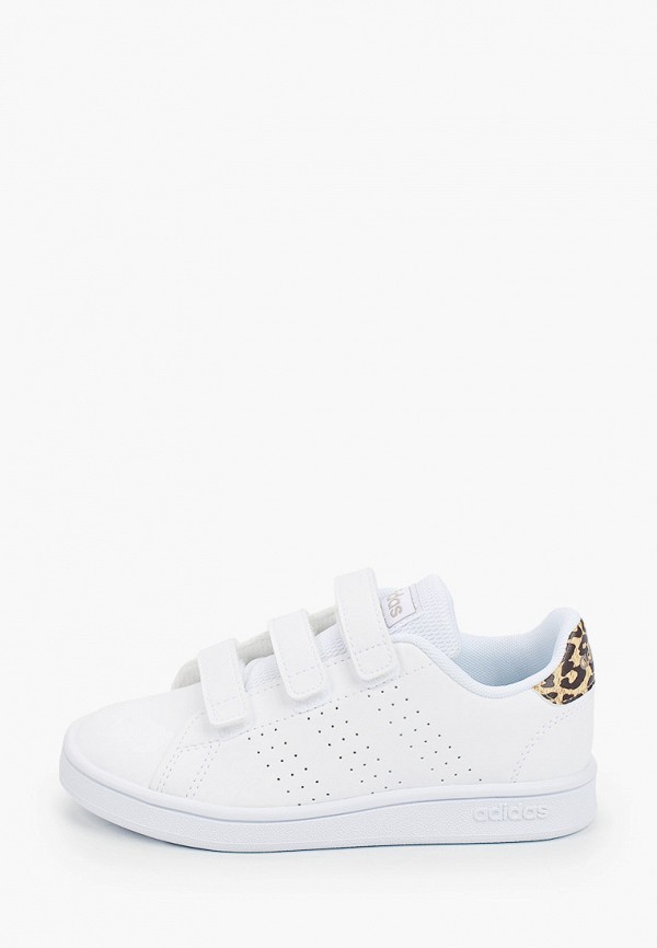 

Кеды adidas, Белый, ADVANTAGE C