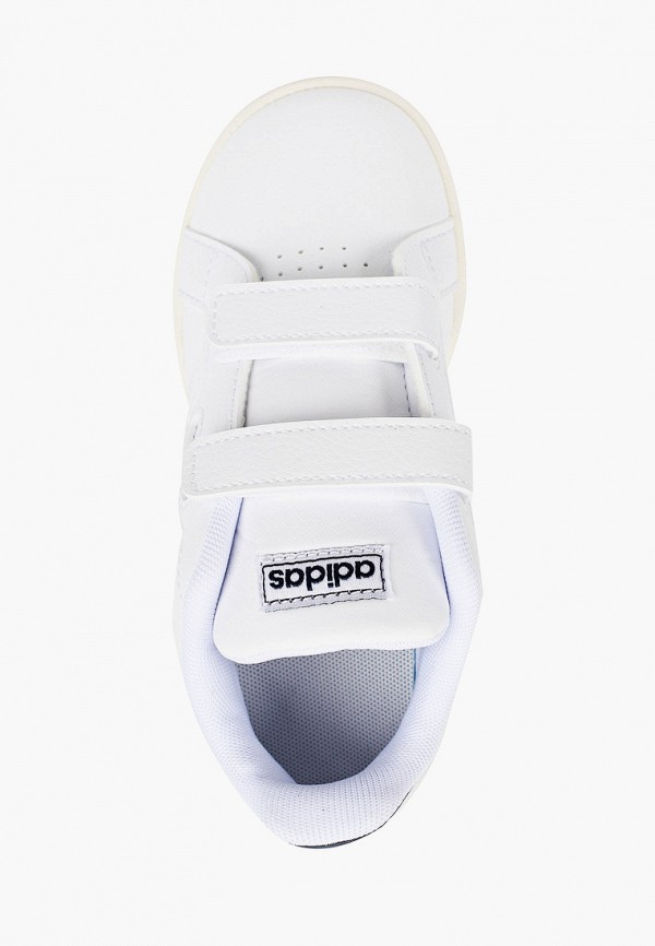 фото Кеды adidas